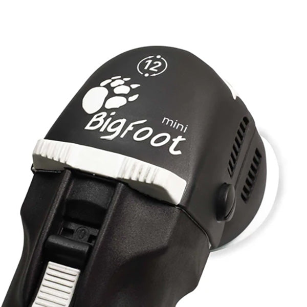 Rupes Bigfoot LHR75E Mini